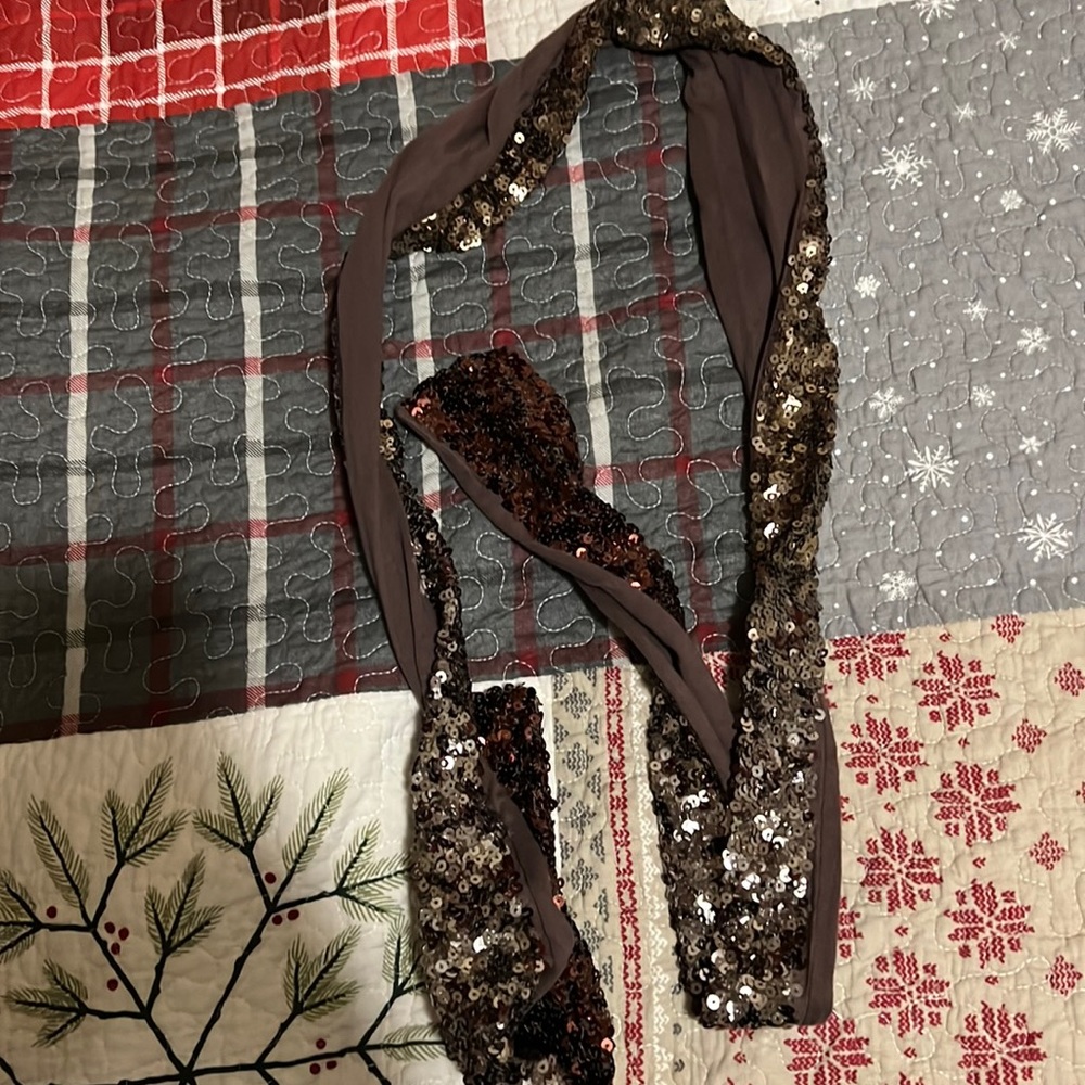 American Eagle Outfitters Skinny Sequin Scarf Holiday Christmas